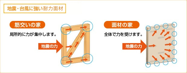 地震台風に強い耐力面材