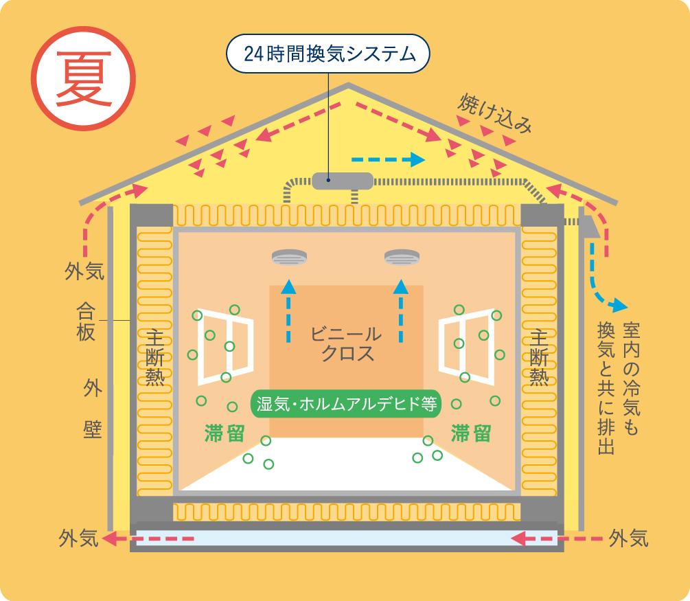 一般的な住宅 夏