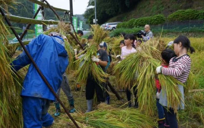 自然環境の保護・環境教育の取り組み